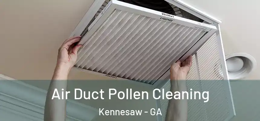  Air Duct Pollen Cleaning Kennesaw - GA