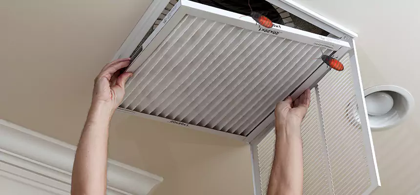 Preventive Cockroach-Proofing for Ducts in Kennesaw