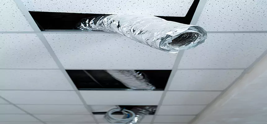 Affordable HVAC Sanitizing After Pest Removal in Kennesaw