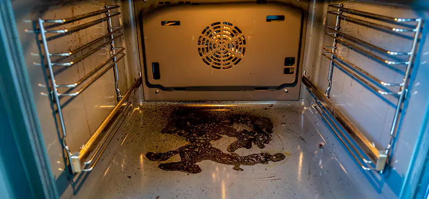 Our Dryer Vent Mold Cleaning Services in Kennesaw, GA