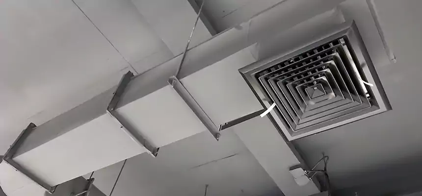 Our Pest Removal From Ducts Services in Kennesaw, GA