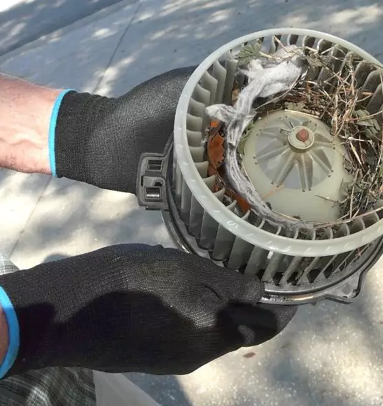 About Air Duct Mice Removal in Kennesaw, GA