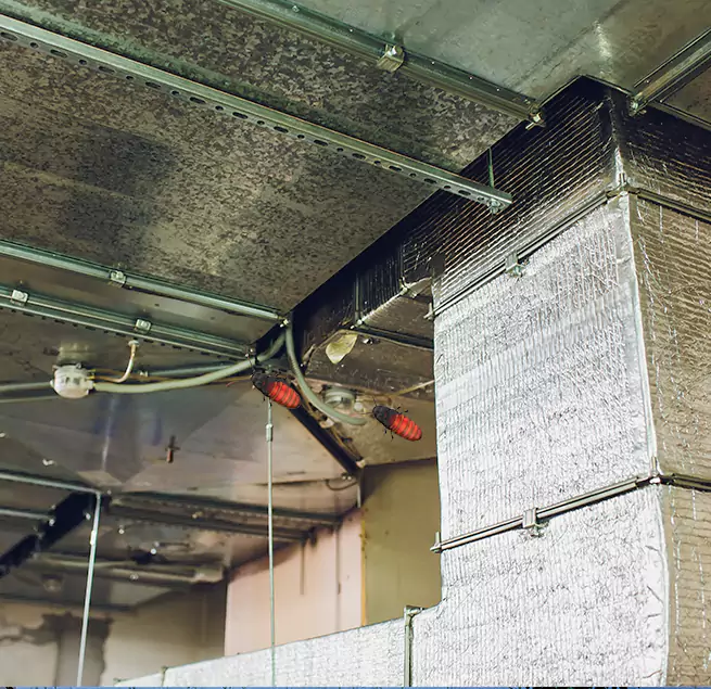 Why Homeowners & Businesses Trust Us in Kennesaw, GA?